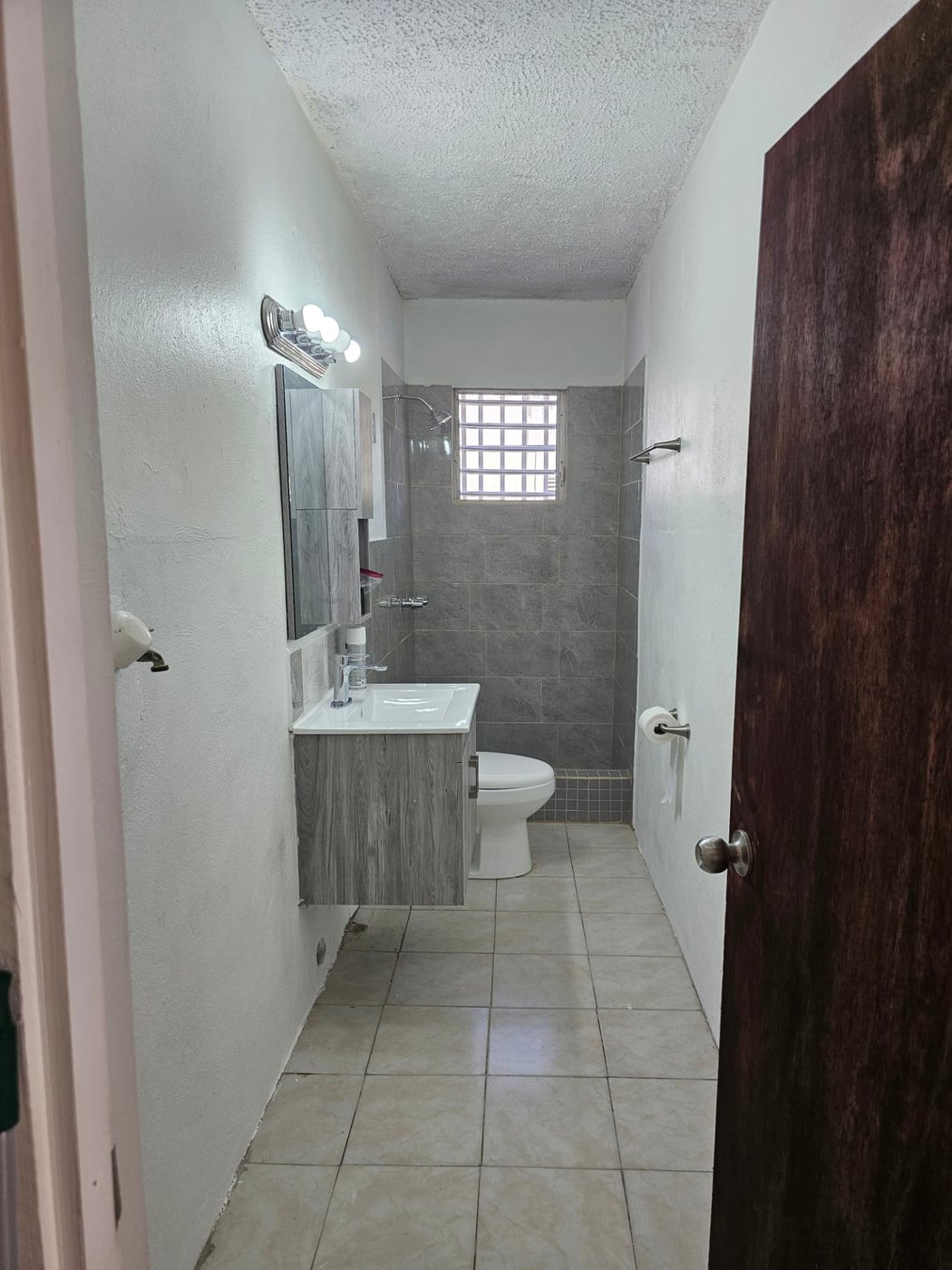 Renovated bathroom of a single-family home in Puerto Rico